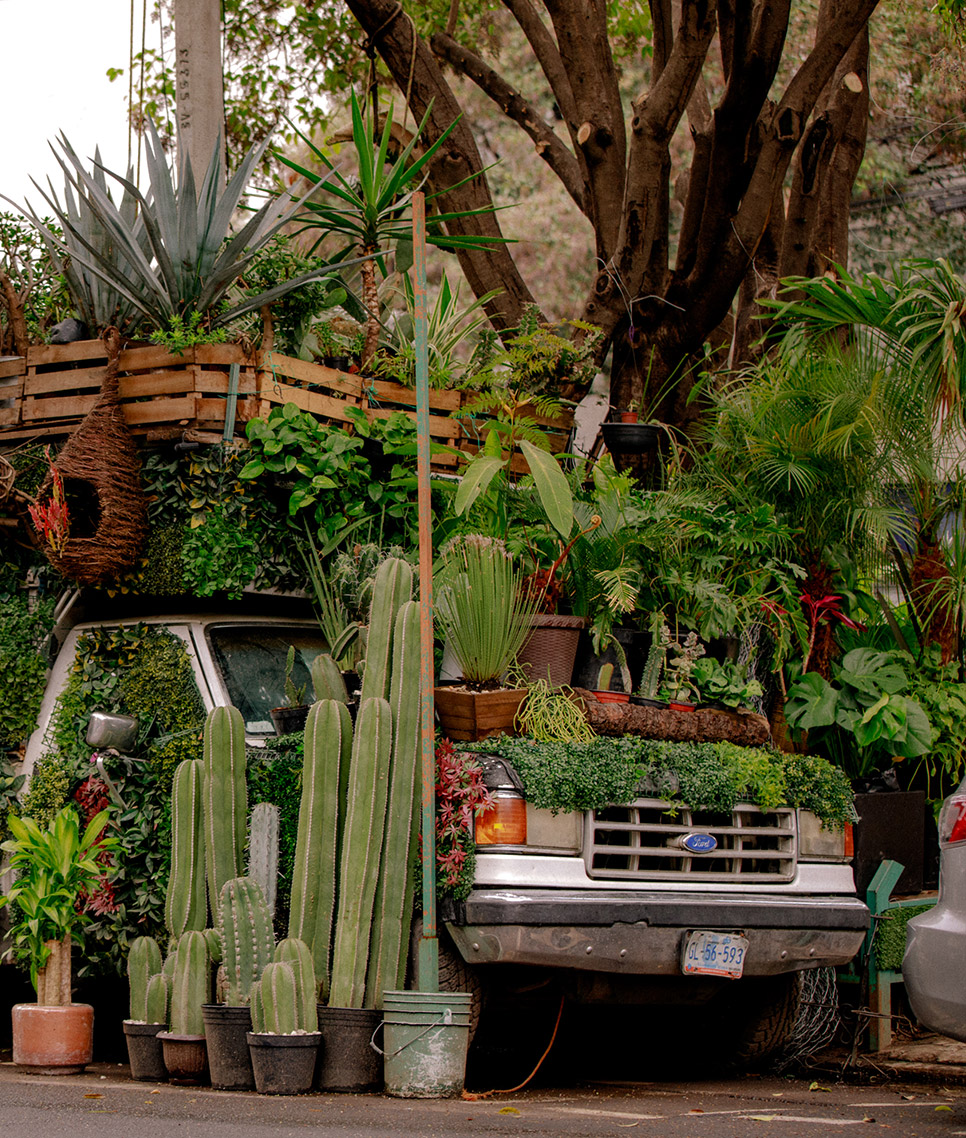 Destination Mexico Car (1)