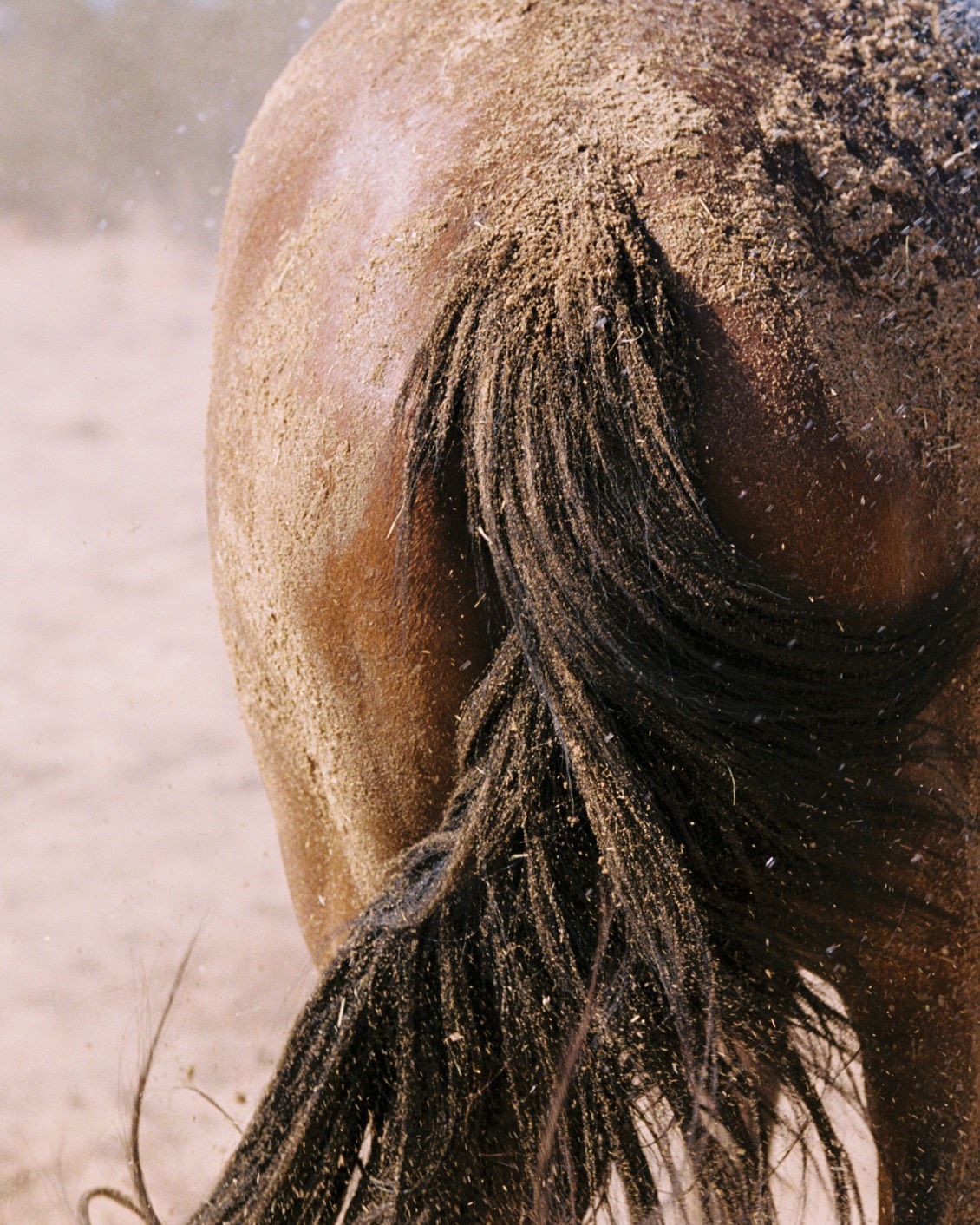 DH Culture BP Arianna Lago 12