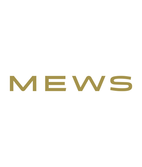 DS Arena Web Partner Mews