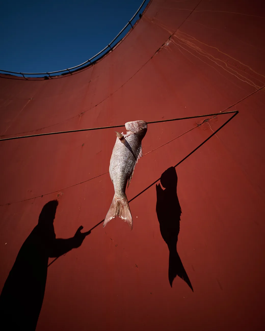 Dexamenes Traditional Illegal