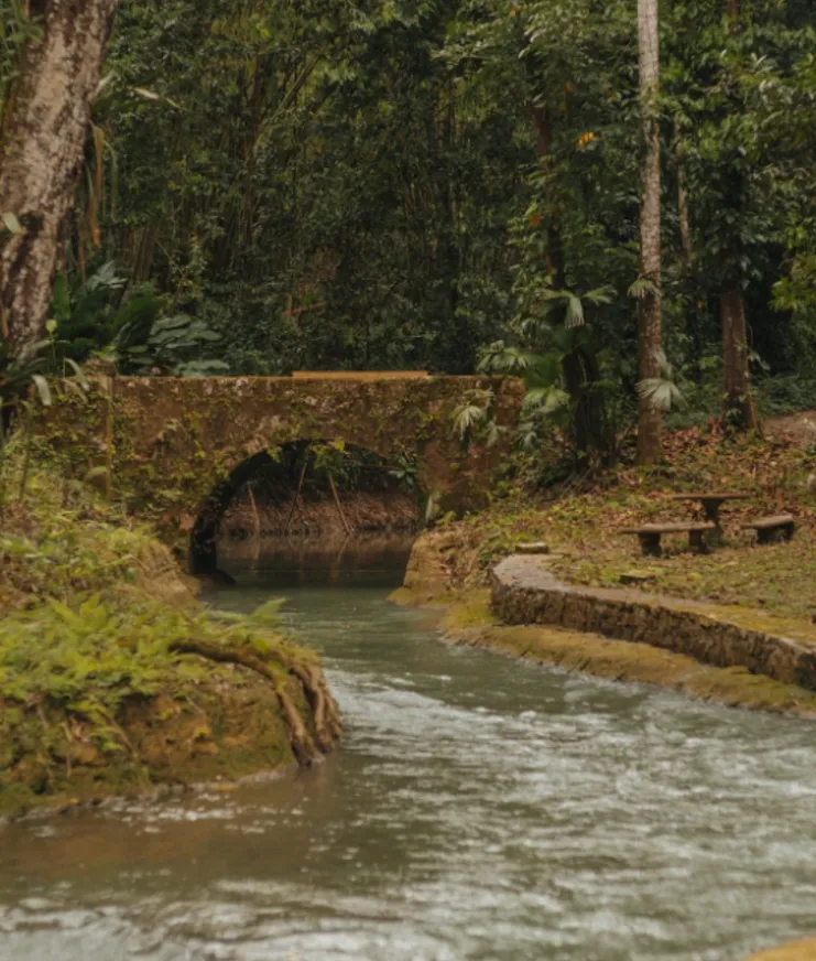 06 Interview With Neil Markey