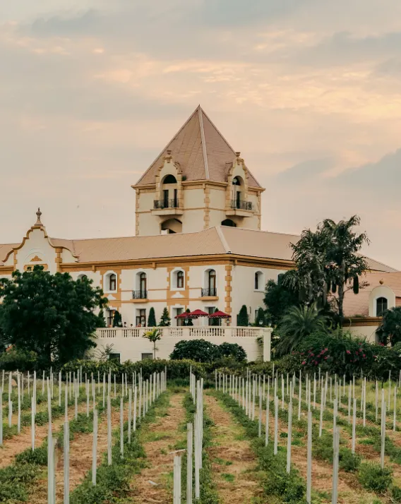 DH Journal Where To Go