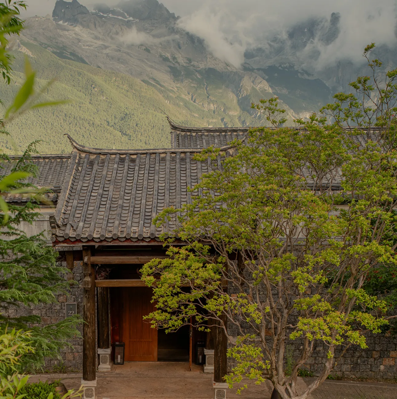 NH Jinmao Pureal Mountain 01