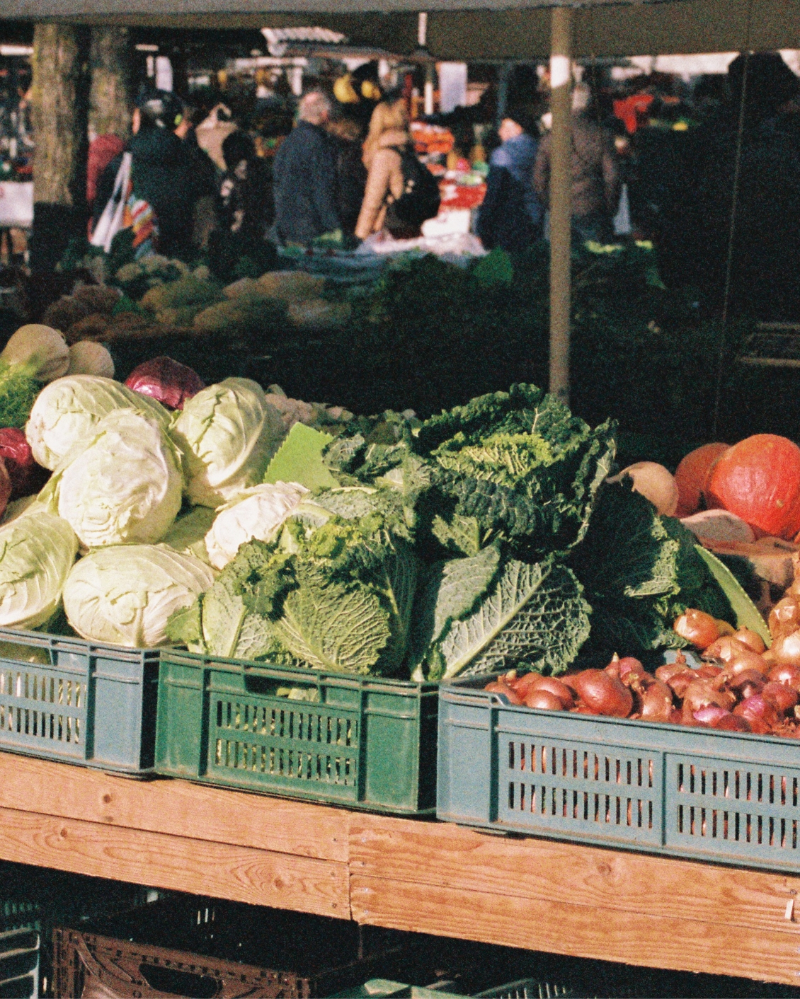 Destinations Guide Balkans 05.2