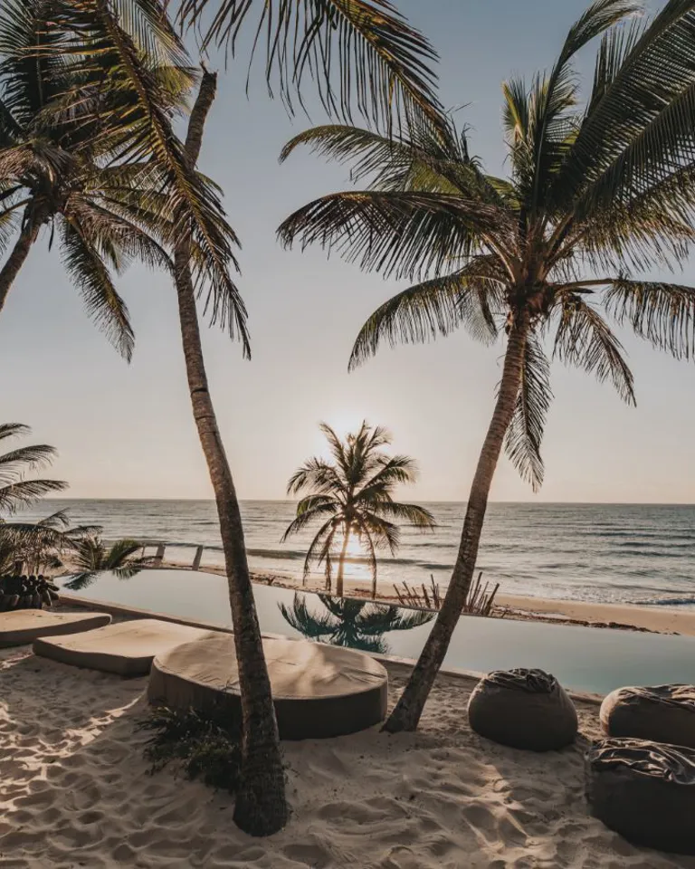 Papaya Playa Project