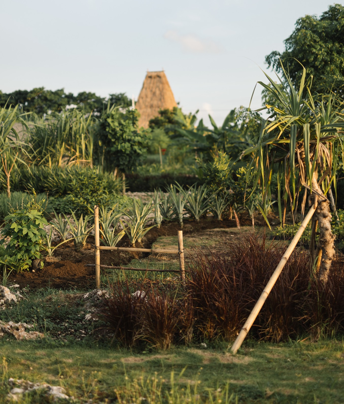 Cap Karoso (Ate Dalo, Sumba, Indonesia) Design Hotels™ Design Hotels™