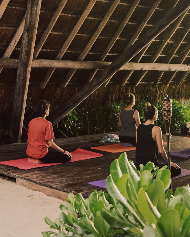 Papaya Playa Project Usp 03