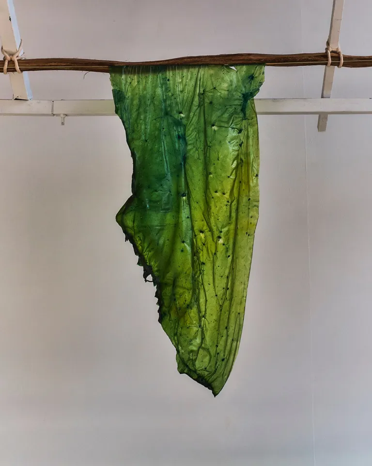 006 Further Marrakech Jessie Linch Hang