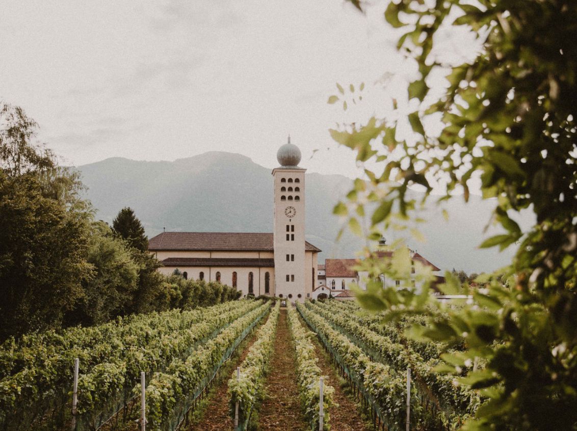 15 Hotels Enhancing Longevity Hotel Schwarzschmied Location Wine Yards View