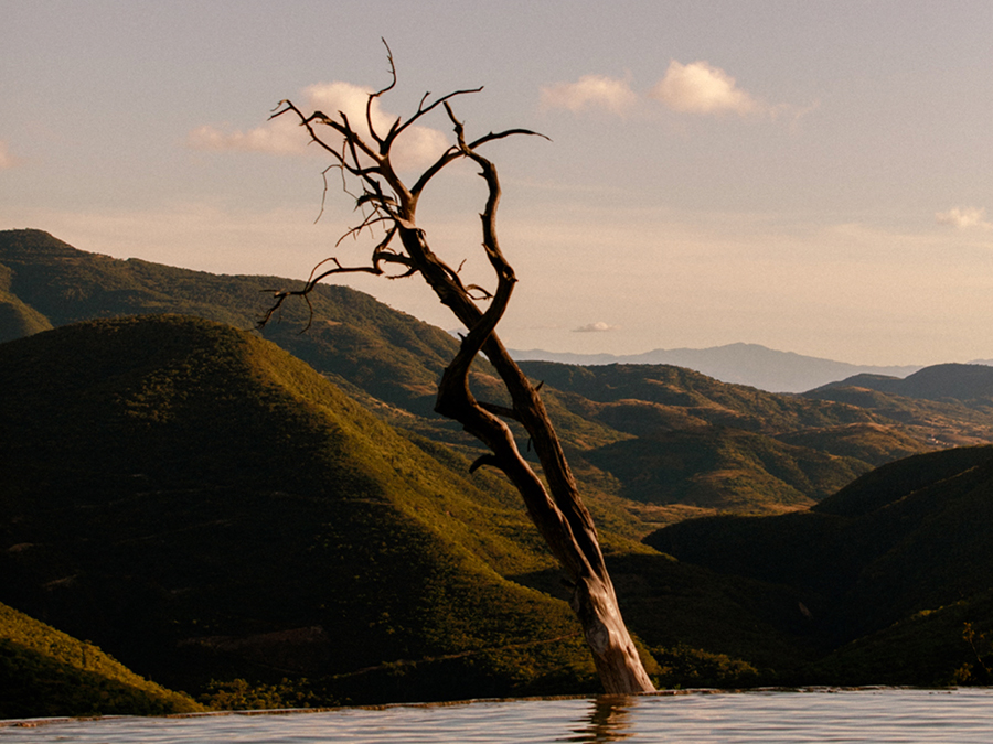 Destinations Sunlight And Agave Part 3