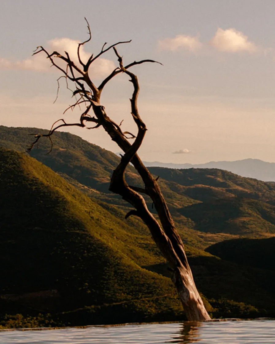 Destinations Sunlight And Agave Part 3