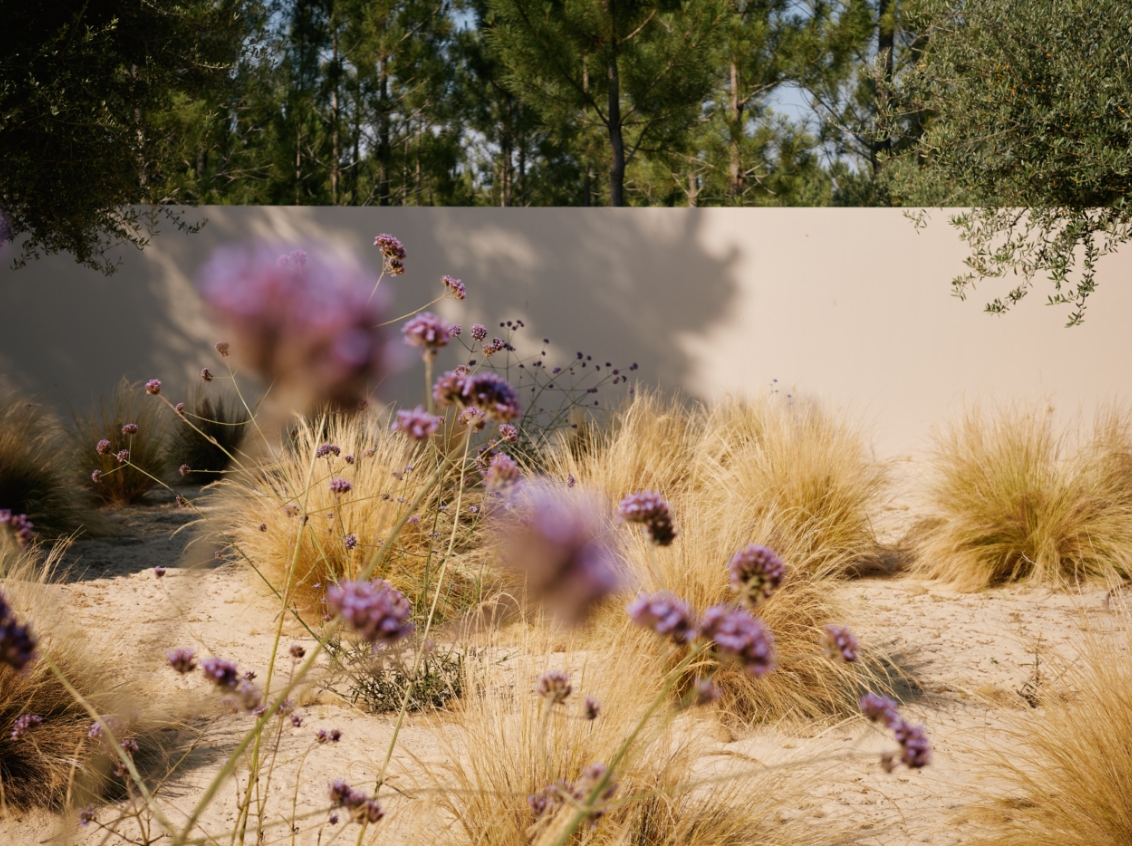 15 Spatia Comportia (2)