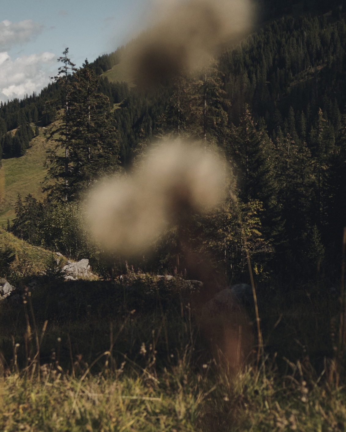 12 Sneak Peak Stiegnhaus Mood Mountain