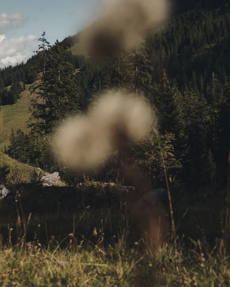 12 Sneak Peak Stiegnhaus Mood Mountain