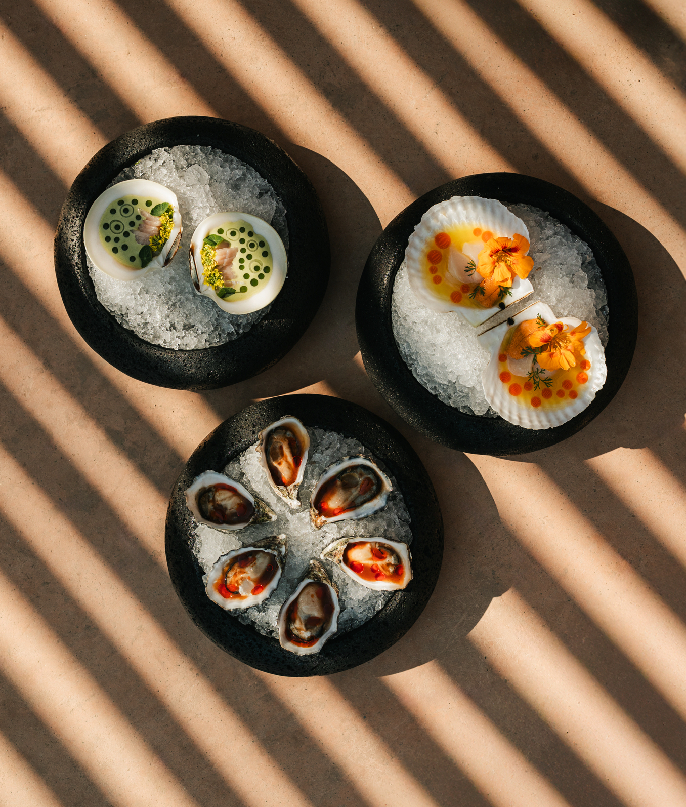 Mira Earth Studios Mexico Food And Wine 02