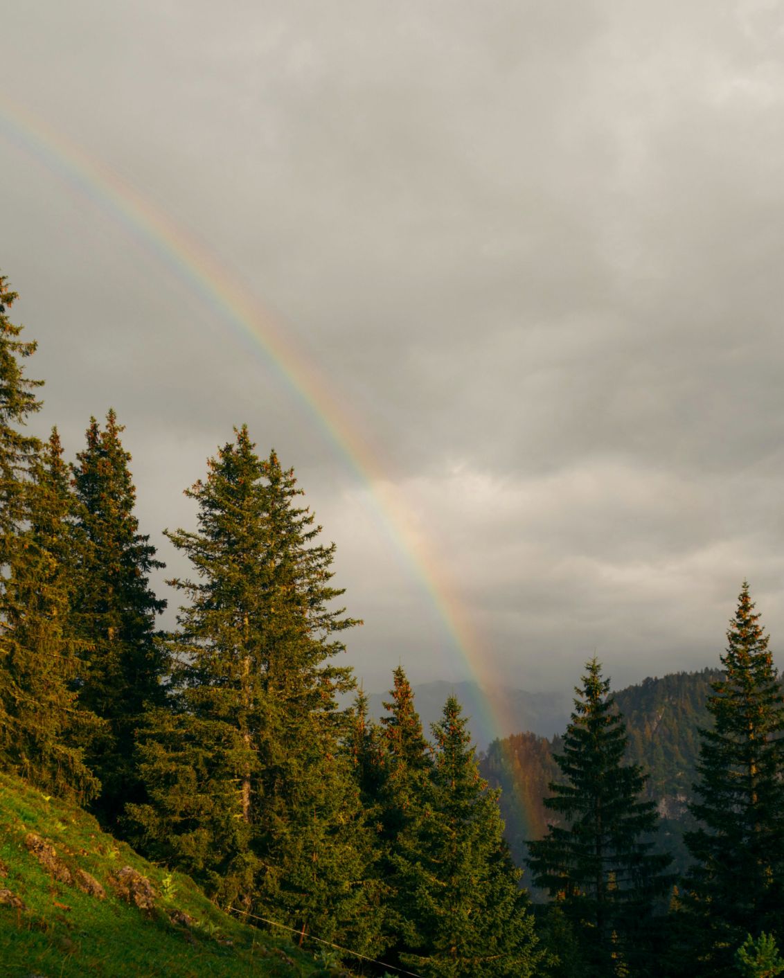 08 DH Interview With Lhasa Destination Rainbow