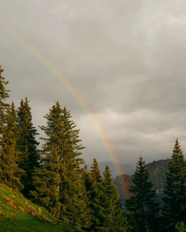 08 DH Interview With Lhasa Destination Rainbow