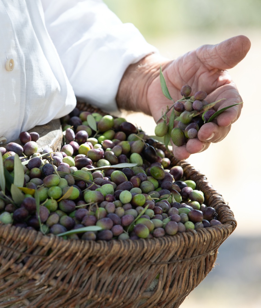 Rastrello Boutique Hotel Theme Box 03 Food And Drink 1