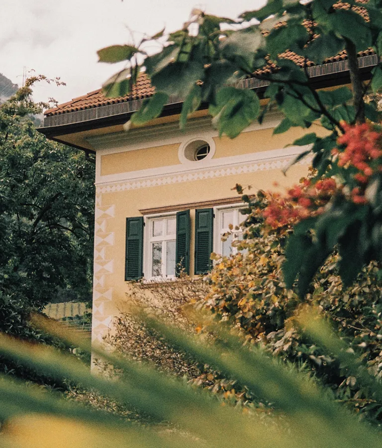 Villa Arnica Architecture