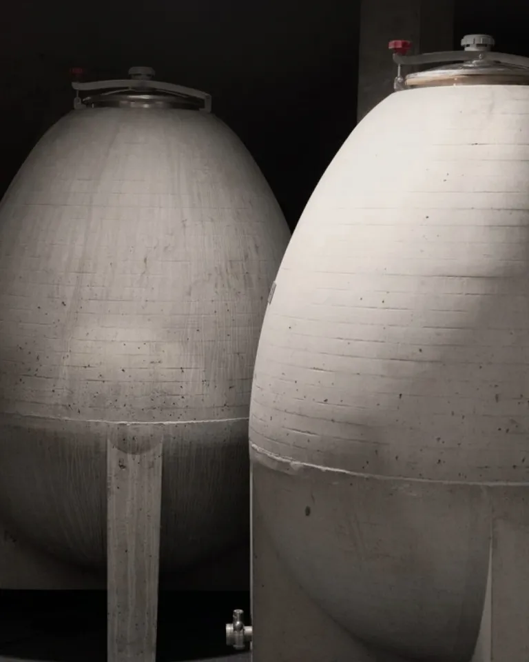 011 Biodynamics Vineyards Meinklang