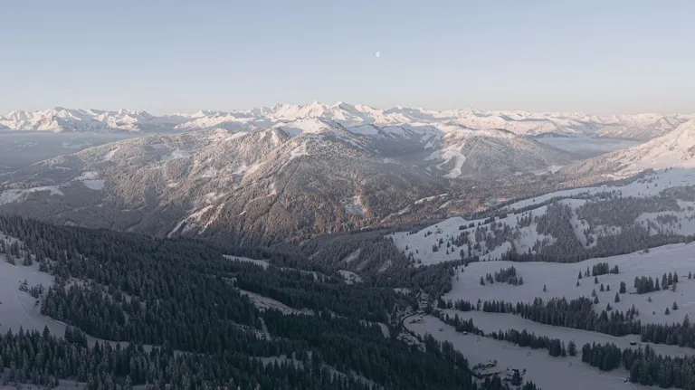 Stiegnhaus Theme Box 03 Destination