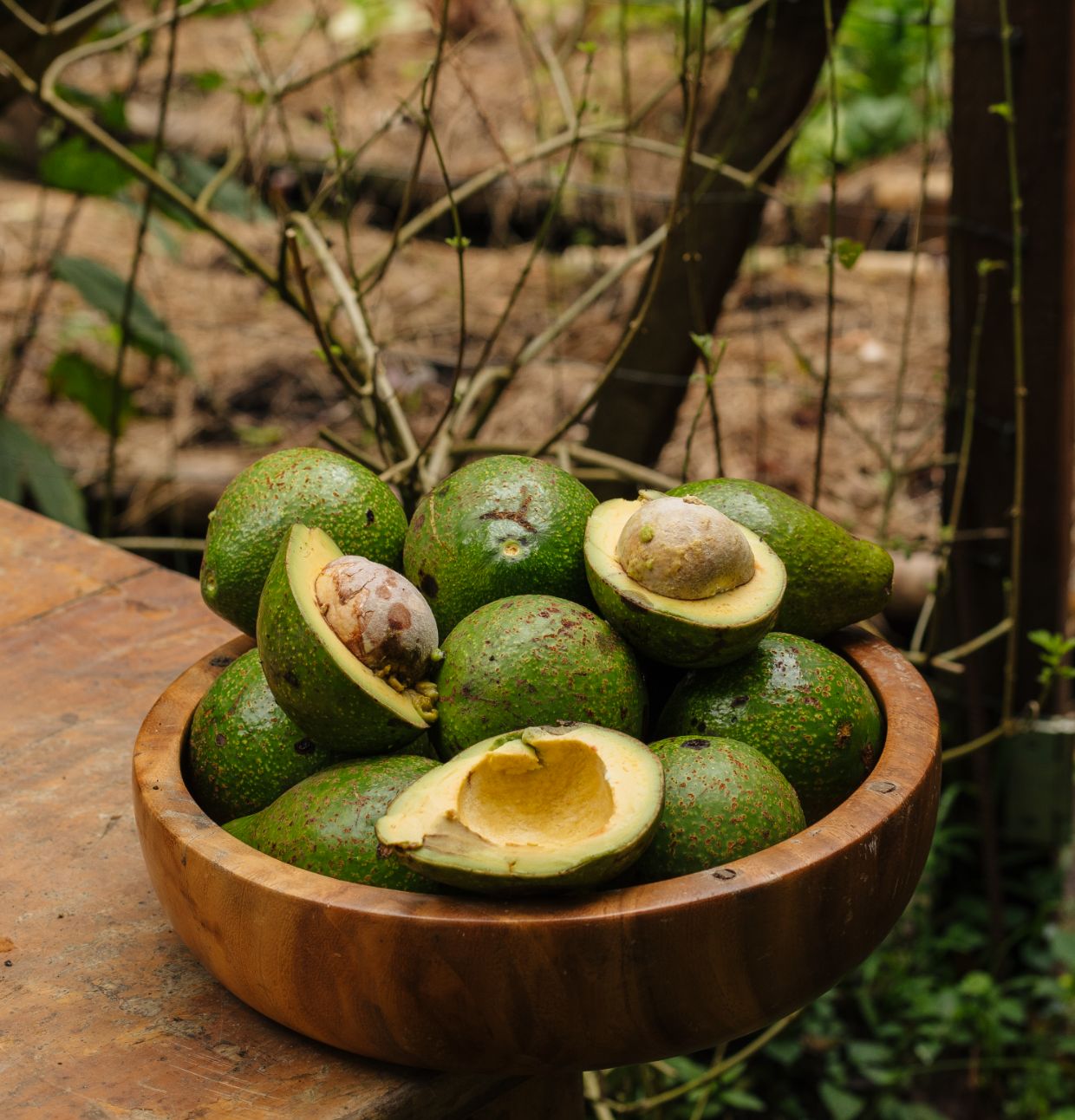 Hotel Belmar Theme Box 02 Sustainability 2