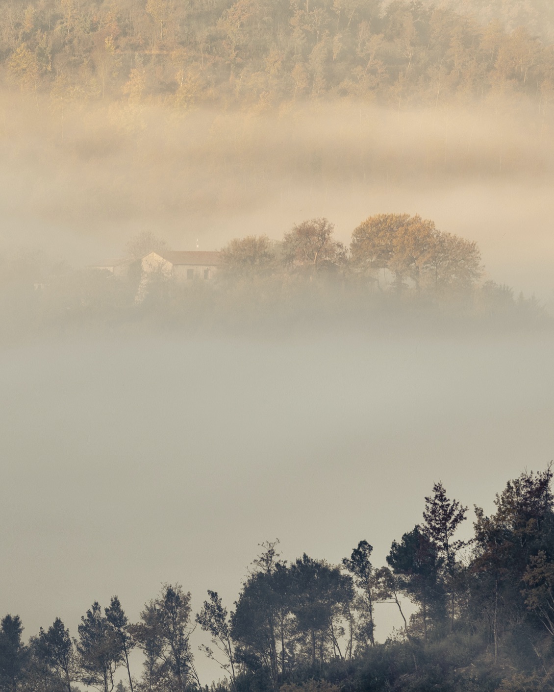 024 Foggy Destinations BP