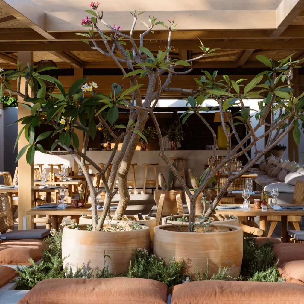 Phaea Cretan Malia Theme Box 05 Food And Drink 2