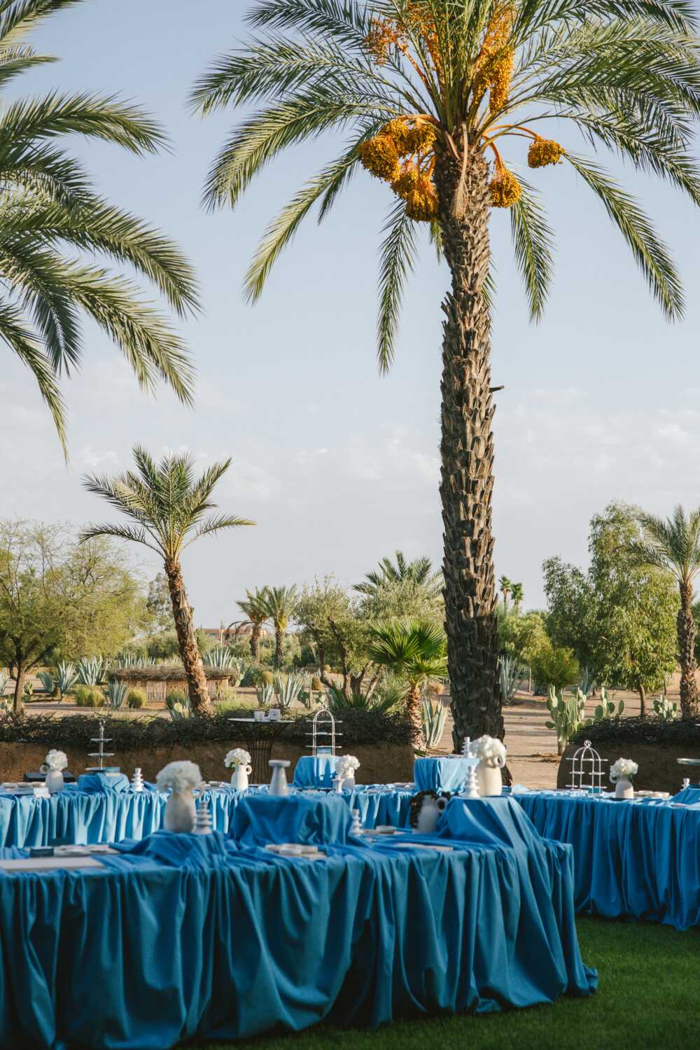 DH26 PURE Marrakech 022