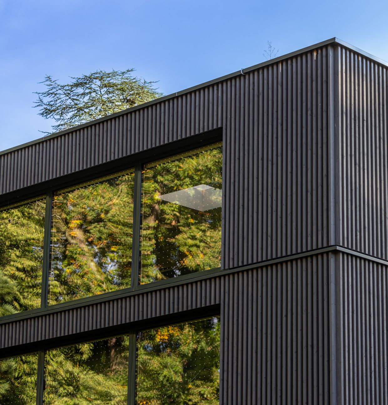 Seegut Zeppelin Architecture 2