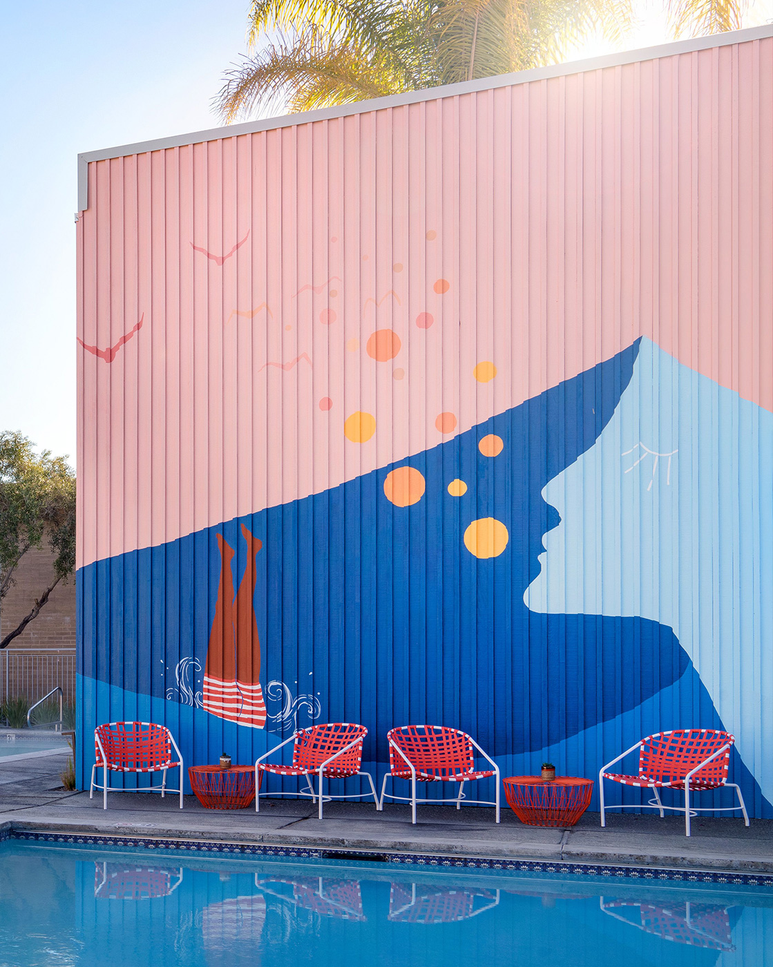 SP Dr Wilkinsons Overview Teaser