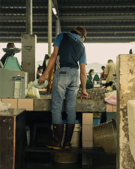 19 MBO Luma Highress