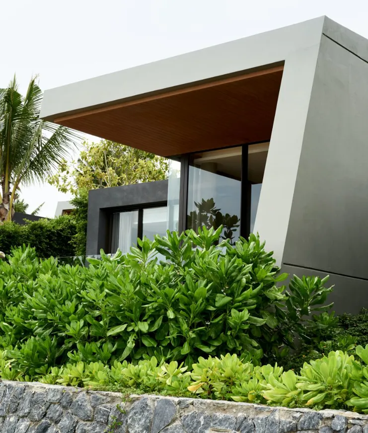 10 DH Flower Hot Spots In Spring Thailand Mason