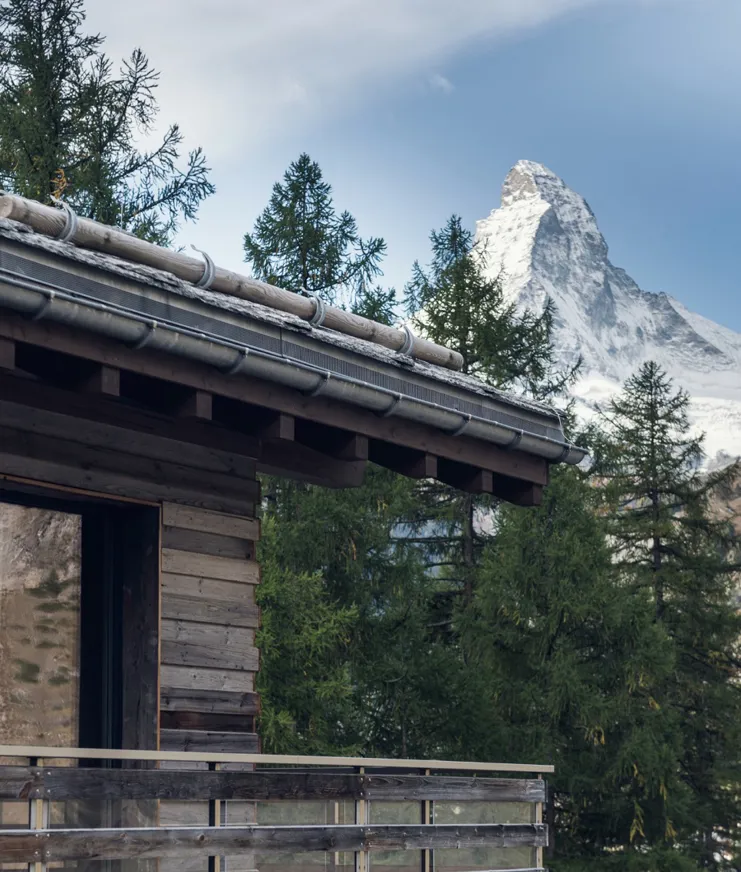 BP Cervo Panel Food Sustainability 01