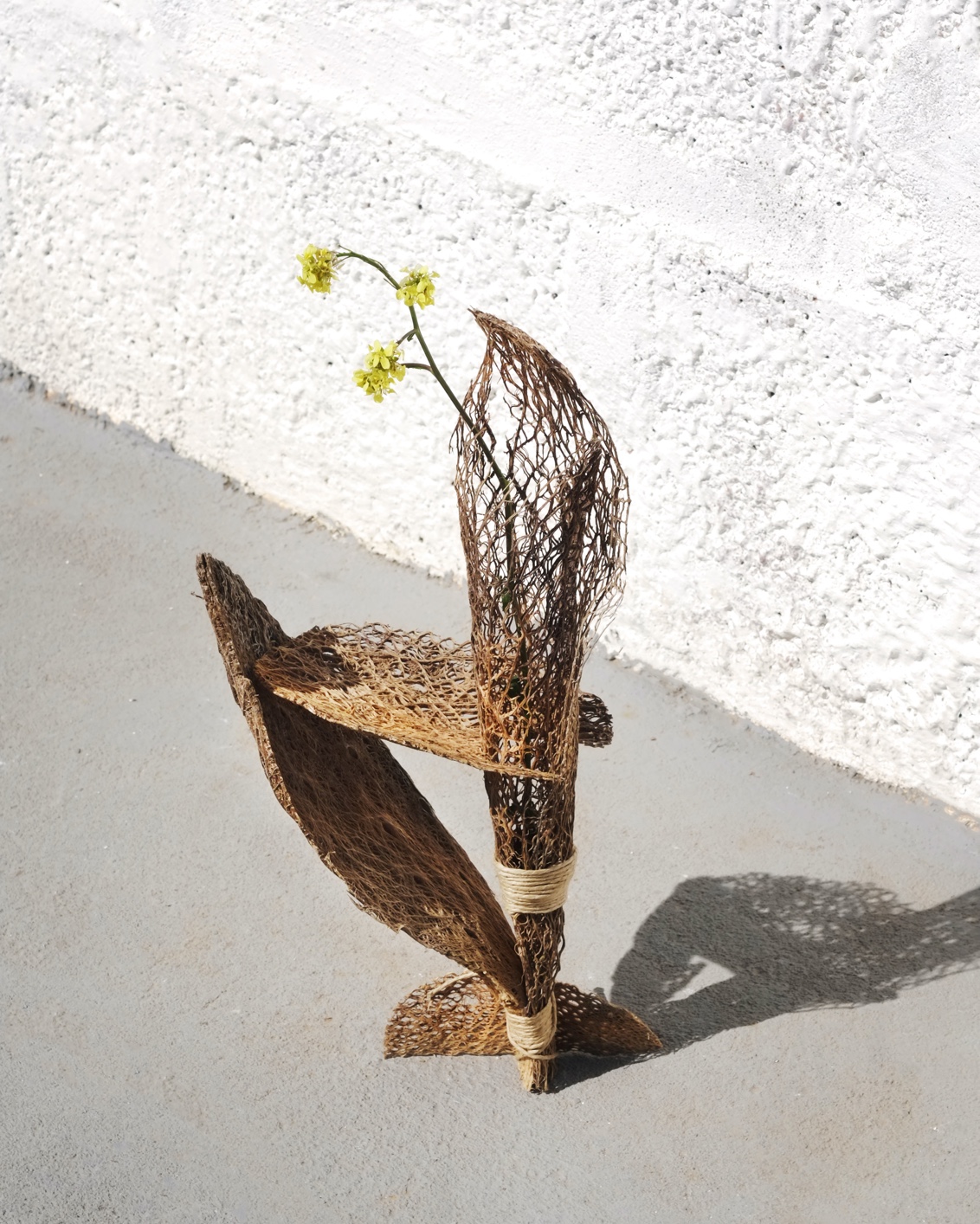 BP My Private Oddyssey 02