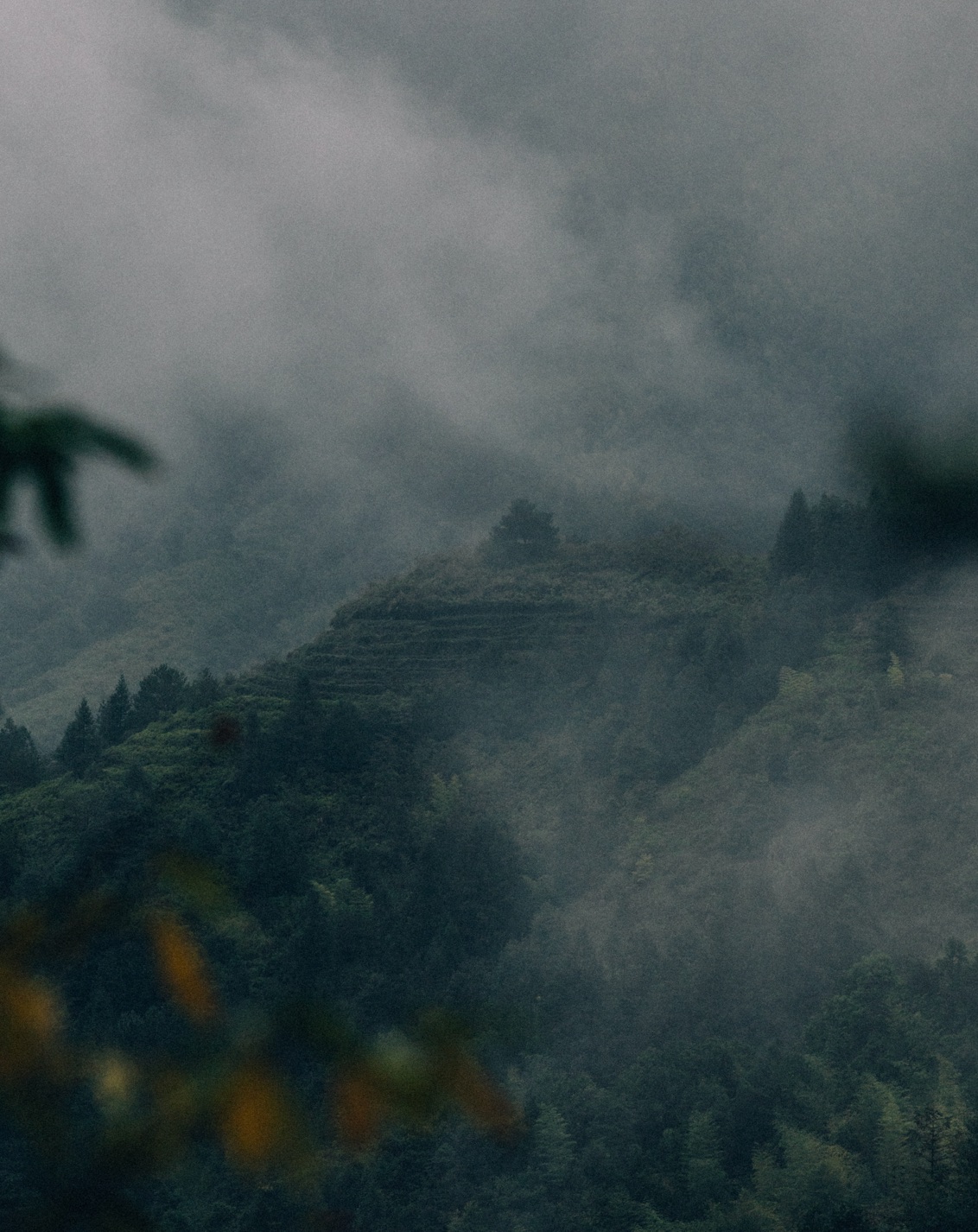 007 Foggy Destinations BP