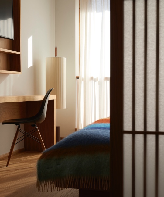 13 Culture Blogpost Fall Foliage