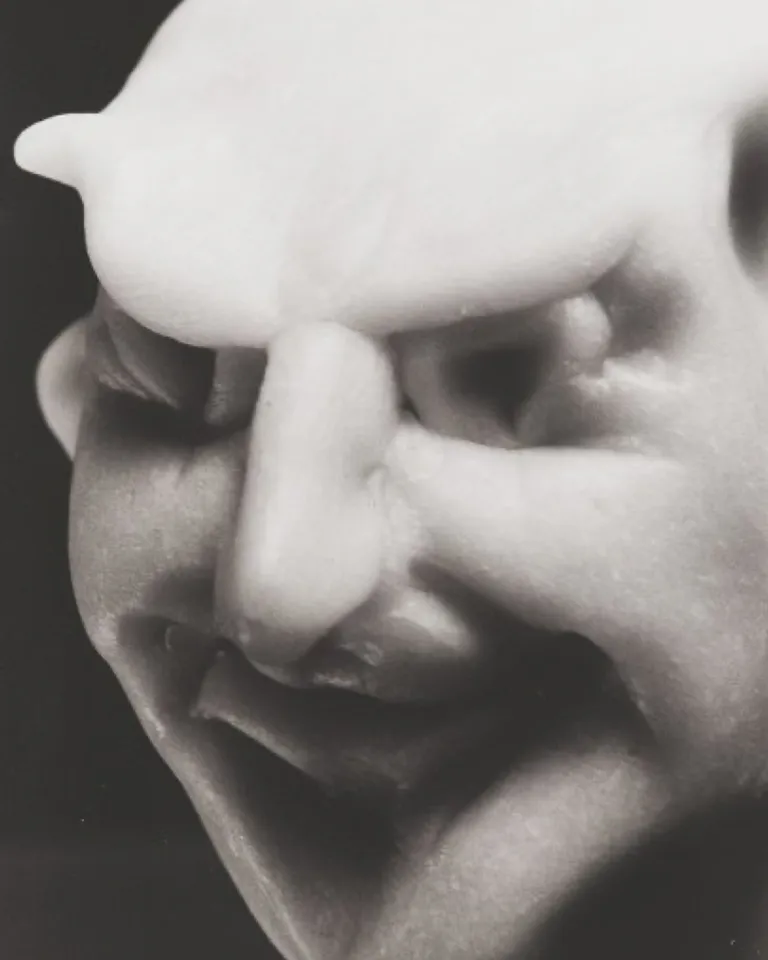 24 BE 25 Venice Shutte