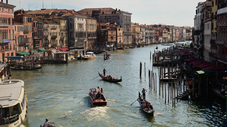 21 Originals Elizabeth Unique Venice