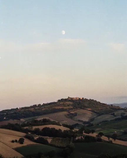 04 TGT Katie Mcknoulty