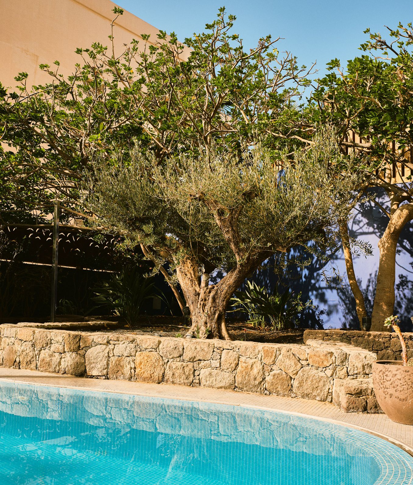 Bohemia Suites And Spa Theme Box 02 Well Being 3