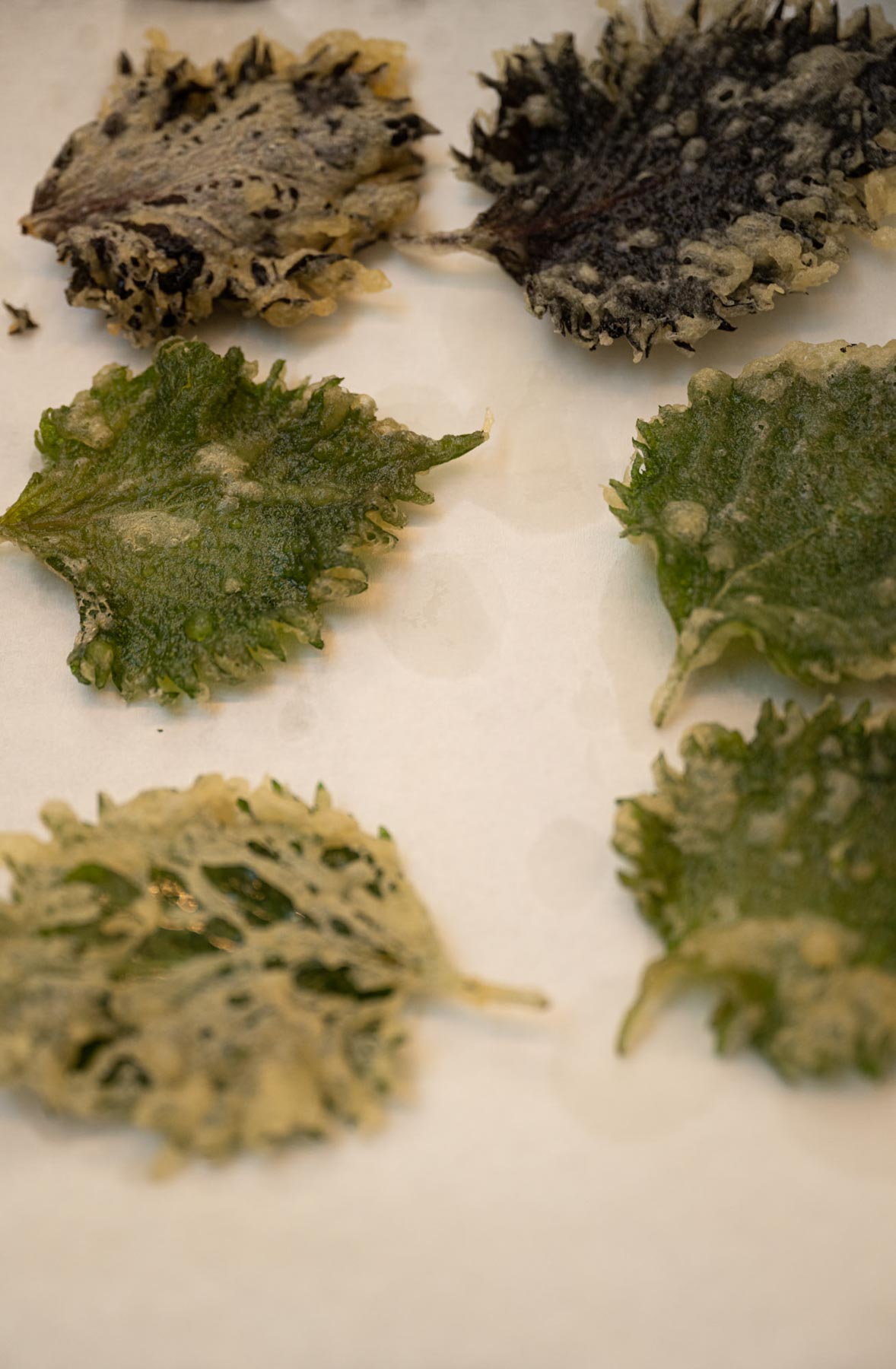 DH SALES23 CE Zurich 02 (1)