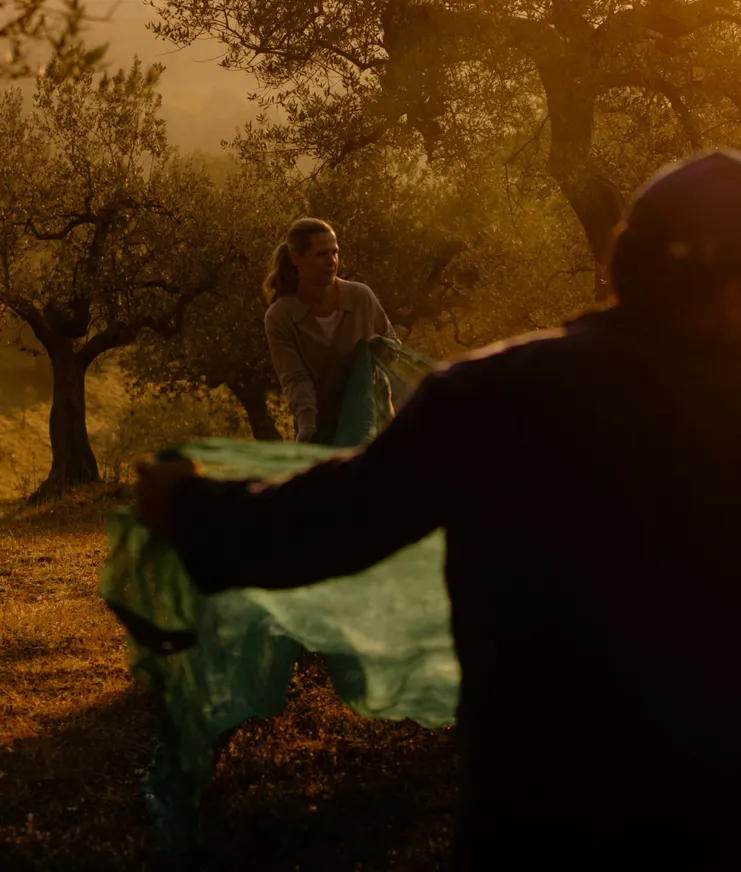 010 MBO Rastrello (1)