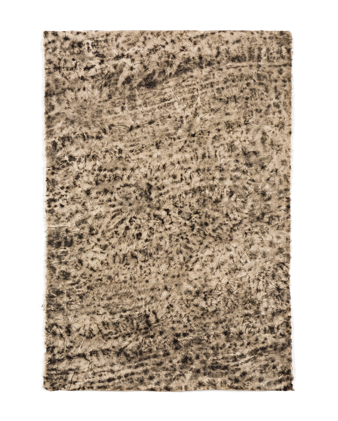 05 My Private Odyssey Jeewy Lee