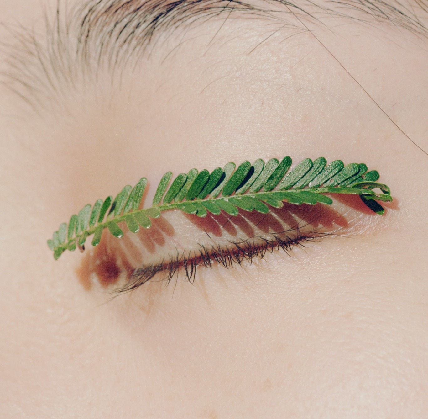 DH Culture BP Arianna Lago 01