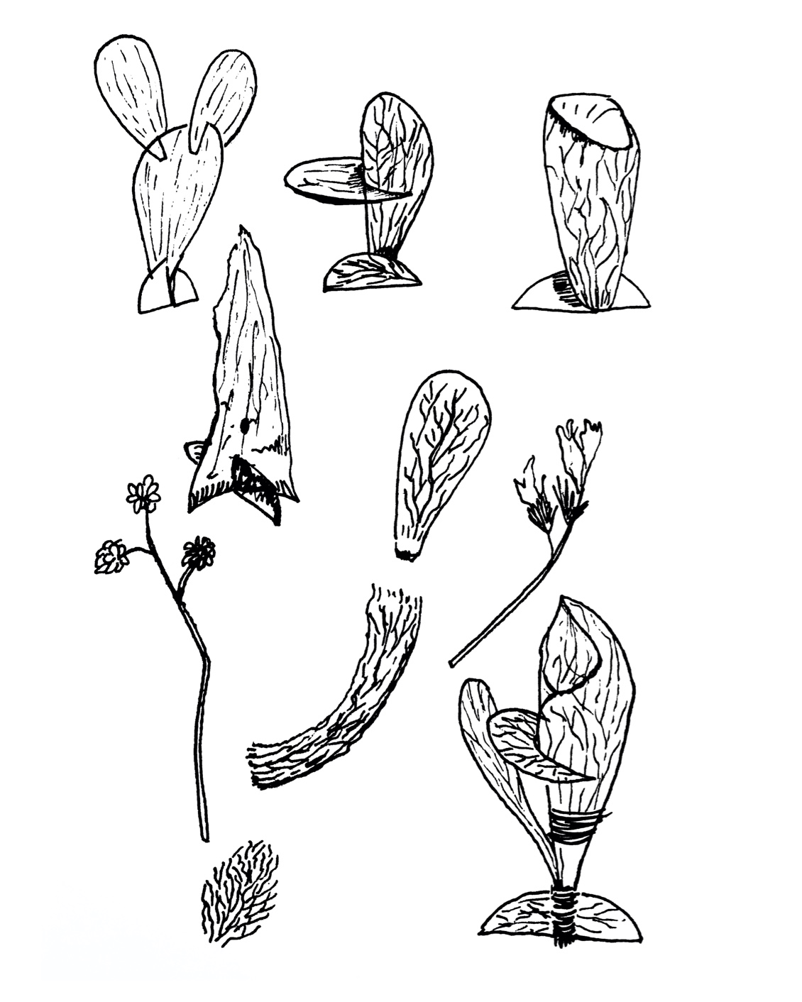 BP My Private Oddyssey 05