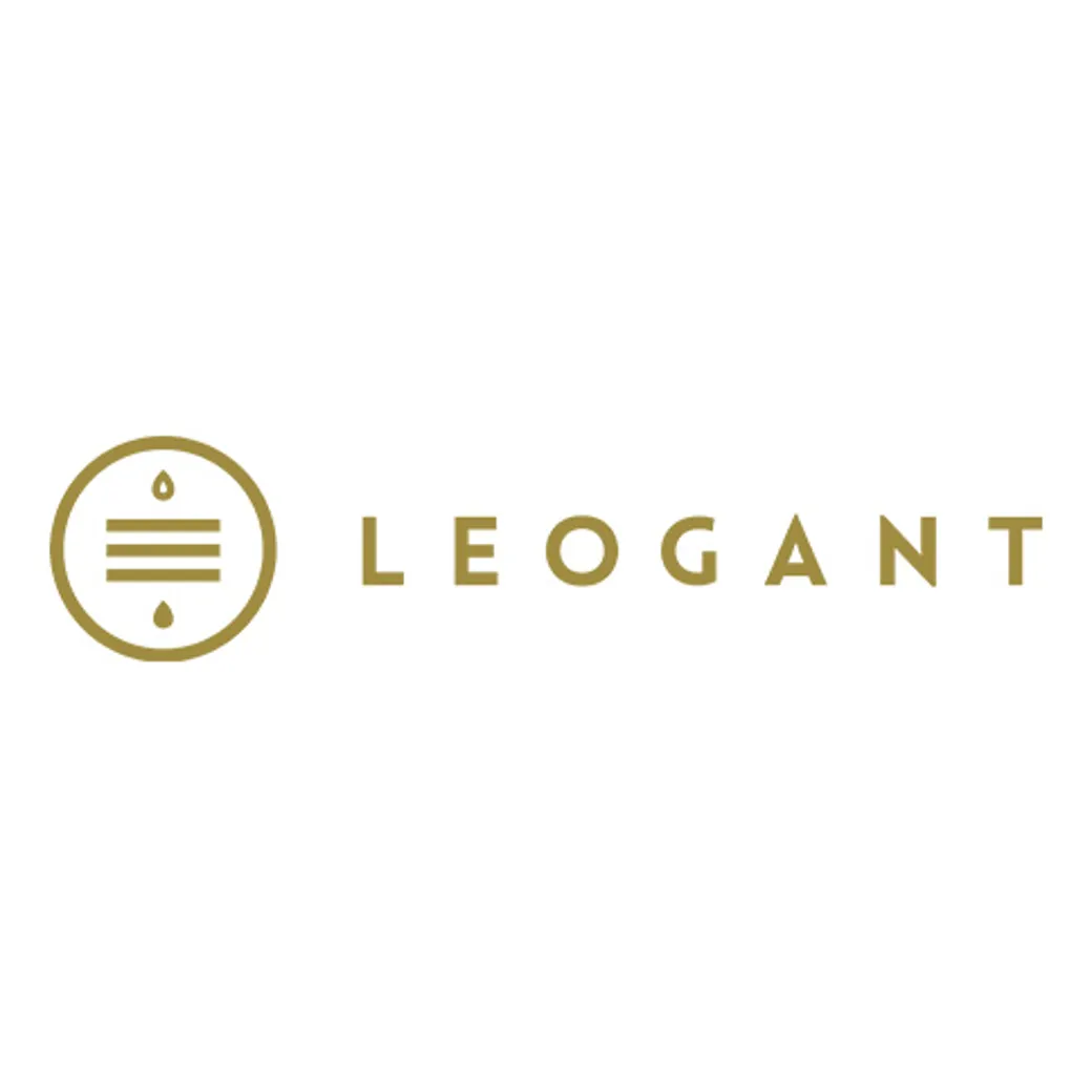 DS Arena Web Partner Leogant