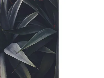 Design Diaries Anne T Rogers 002