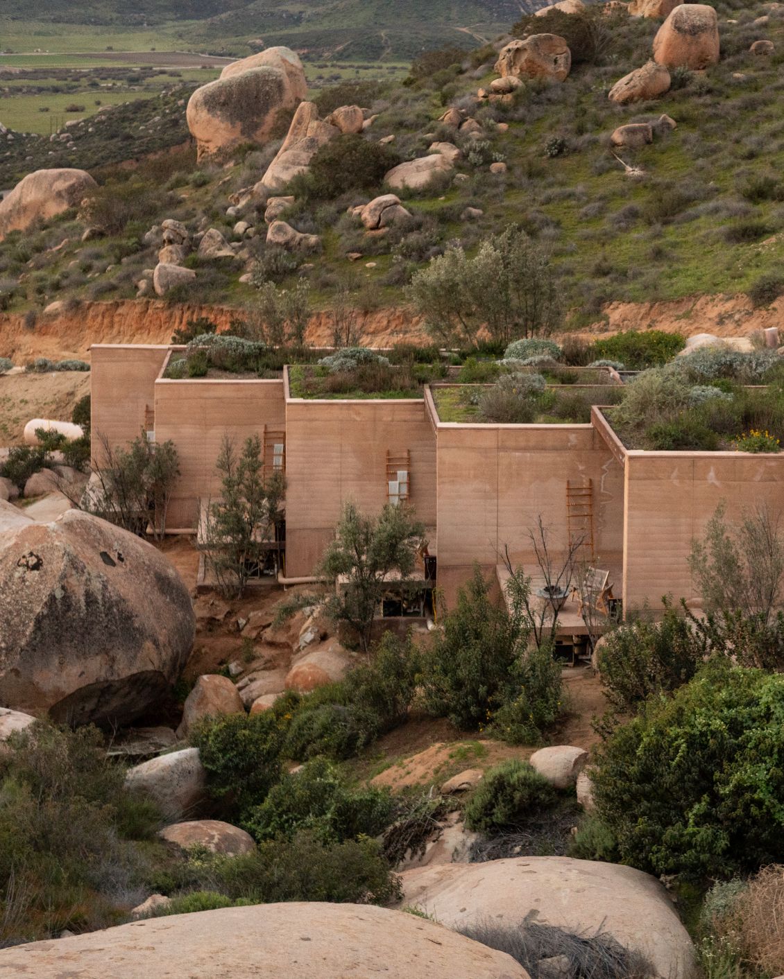 11 DH The Originals Mira Earth Studios Architecture Green Roofs 1