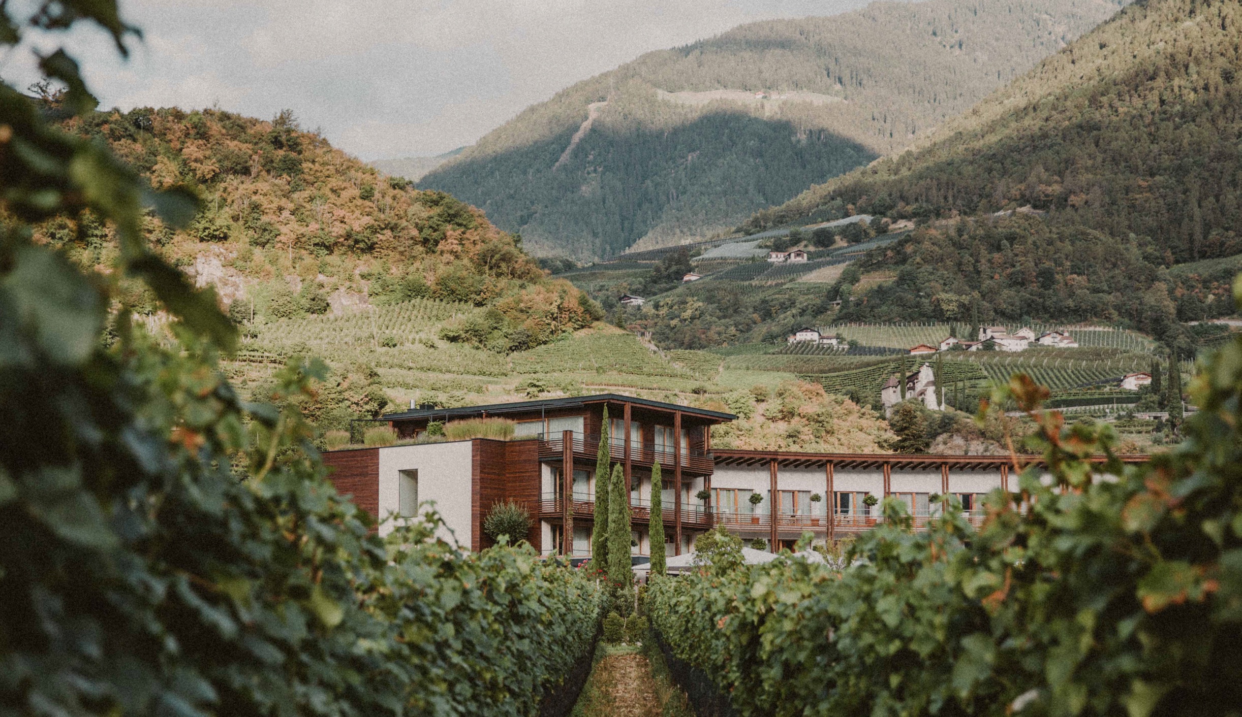 07 BP Well Being Destinations Hotel Schwarzschmied Exterior Mountains Wine Fields